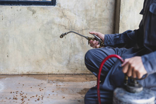 Best Pest Control Treatment  in Westchase, FL