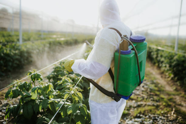 Best Cockroach Control Services  in Westchase, FL